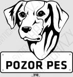 Old Croatian sighthound